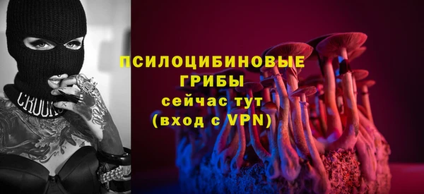 хмурый Каменногорск