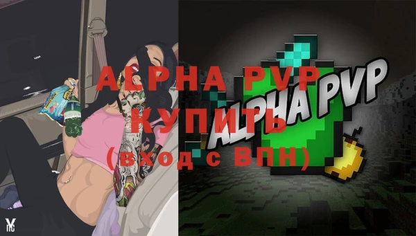 МДПВ Каменка