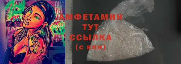 МДПВ Каменка