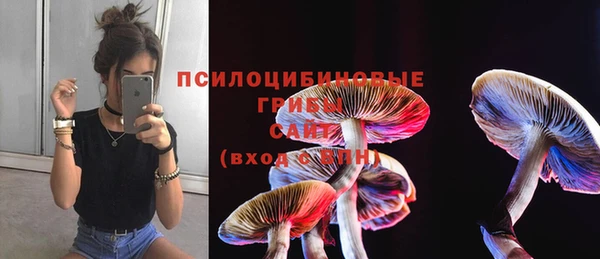 МДПВ Каменка