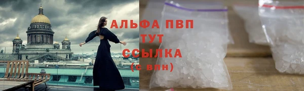 хмурый Каменногорск