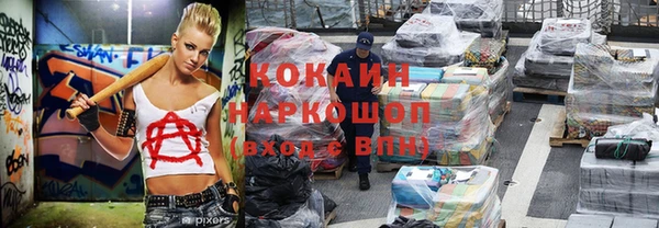 МДПВ Каменка