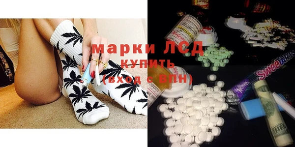 хмурый Каменногорск
