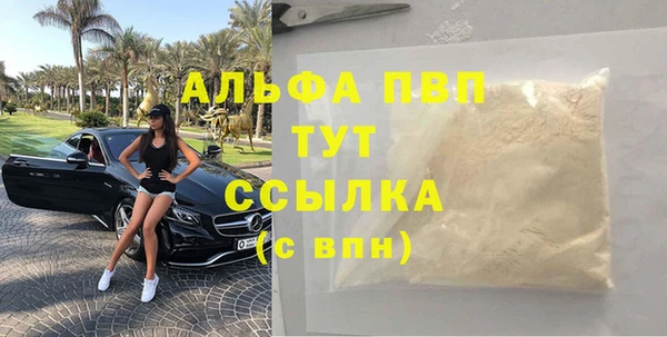 спиды Каменск-Шахтинский